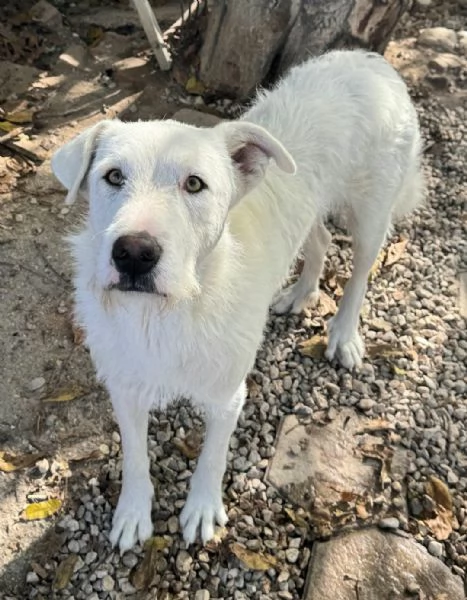 Penny 10 mesi taglia grande | Foto 1