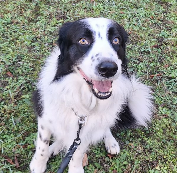 Coopy 3 anni Taglia grande | Foto 5