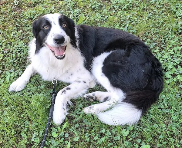 Coopy 3 anni Taglia grande | Foto 2