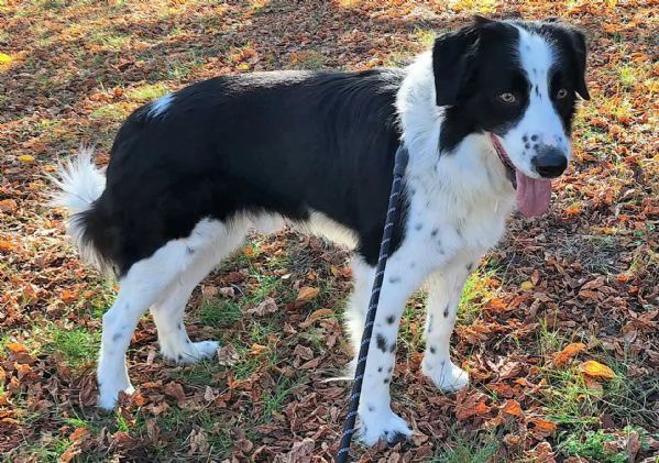 Coopy 3 anni Taglia grande | Foto 0