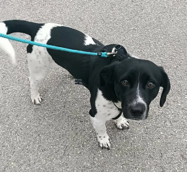 Galileo 1 anno taglia piccola  | Foto 0