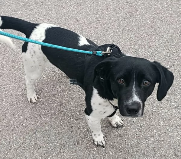 Galileo 1 anno taglia piccola 