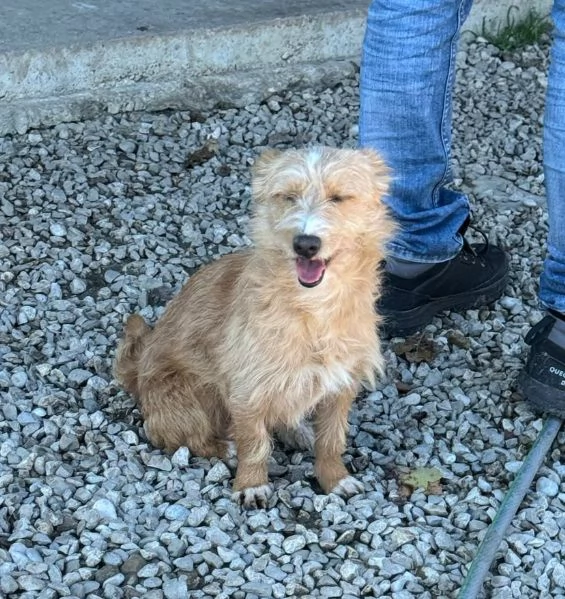 Einstein 2 anni Taglia piccola  | Foto 0
