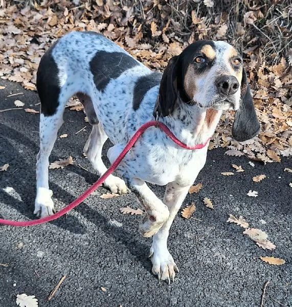 Gustavo 4 anni tripode