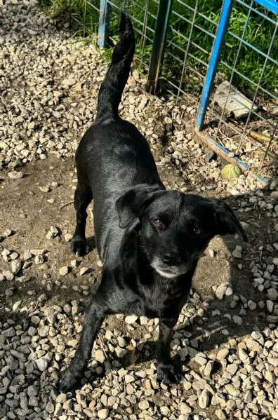 Monica 3 anni Taglia piccola  | Foto 4