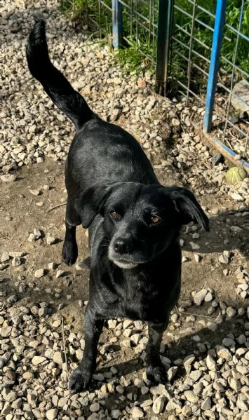 Monica 3 anni Taglia piccola  | Foto 1