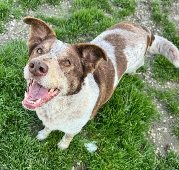 Kikka 4 anni Taglia media 