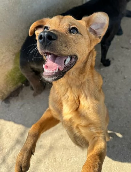 Mino 1 anno taglia piccola 