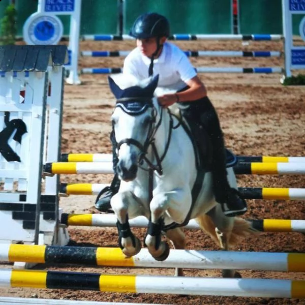 irish sport horse - salto ostacoli/ippoterapia | Foto 2