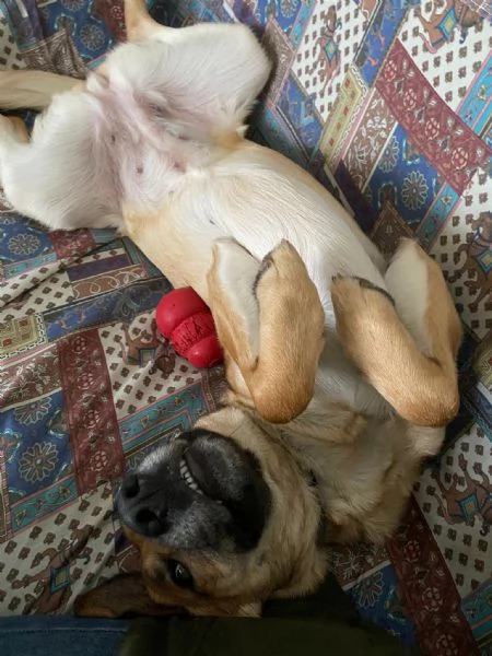 Una nuova famiglia per Carmen | Foto 4