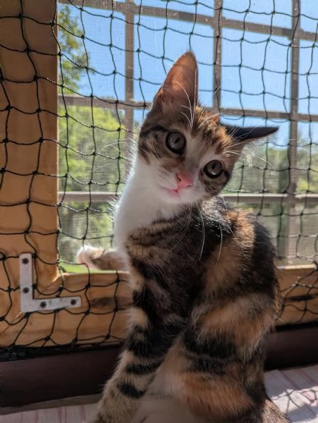 Le sorelline Pica e Tina | Foto 4