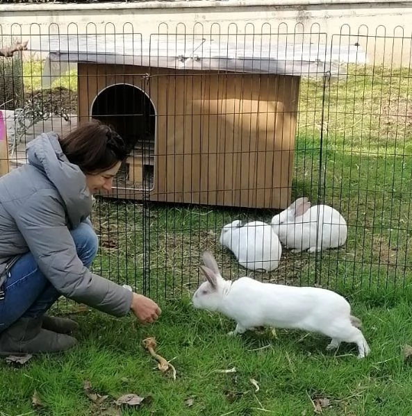 dama, galak, bianca, tre coniglietti in cerca di casa!  | Foto 4