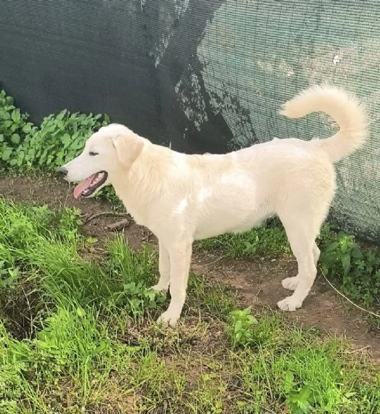 Zack illuso di andare a casa invece egrave ancora qui che attende | Foto 5