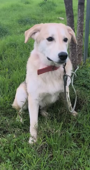 Jago illuso di andare a casa invece egrave ancora qui che attende | Foto 0