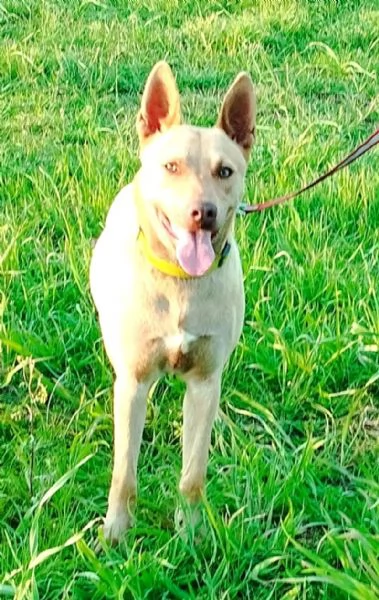 Marley egrave ancora qui che attende di essere scelto