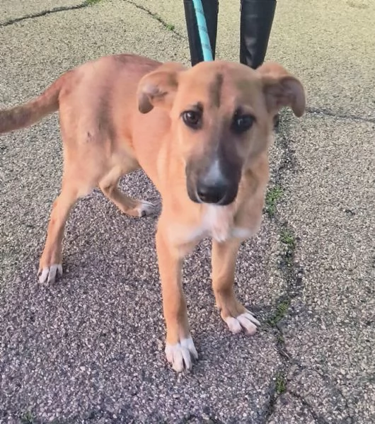 Sceglimi portami a casa con te | Foto 5