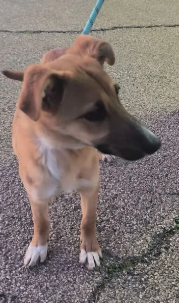 Sceglimi portami a casa con te | Foto 1