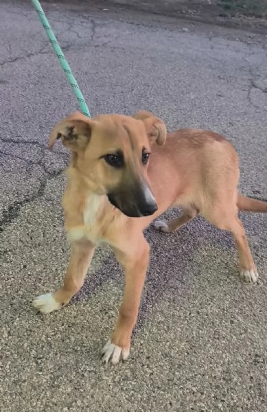 Sceglimi portami a casa con te | Foto 0