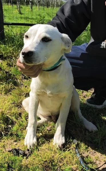 Igor egrave ancora qui che spera di trovare casa  | Foto 3