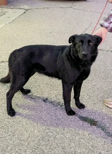 Una famiglia da amare per la dolcissima Clio  | Foto 6