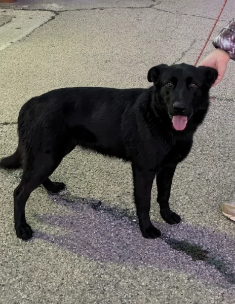 Una famiglia da amare per la dolcissima Clio  | Foto 5