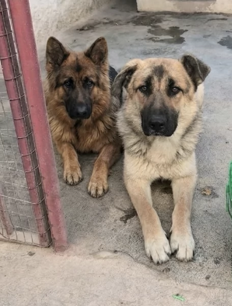 Mi chiamo Tom portami via con te | Foto 3