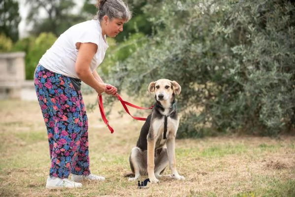 Baloo bellezza ed eleganza 7 mesi | Foto 1