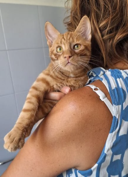 Vincent Van Miao 7 mesi | Foto 3