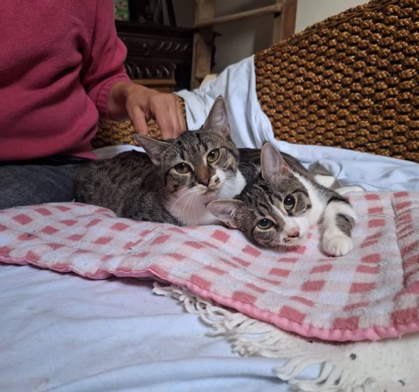 Onda e Marea sorelline 6 mesi | Foto 3