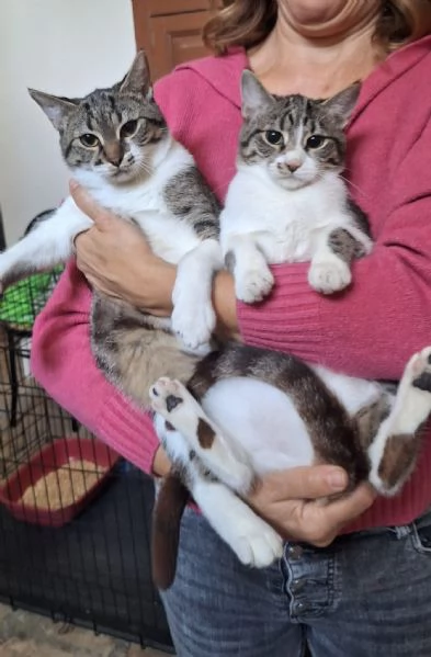 Onda e Marea sorelline 6 mesi | Foto 2