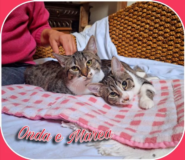 Onda e Marea sorelline 6 mesi