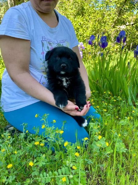 Darko bambolotto 2 mesi | Foto 2