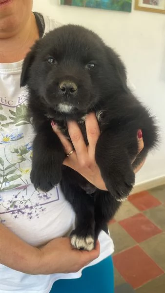 Darko bambolotto 2 mesi | Foto 1