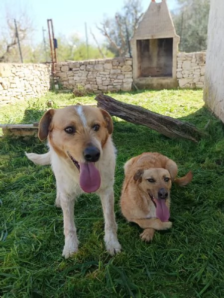 Kiss e Jude due anime gemelle | Foto 4