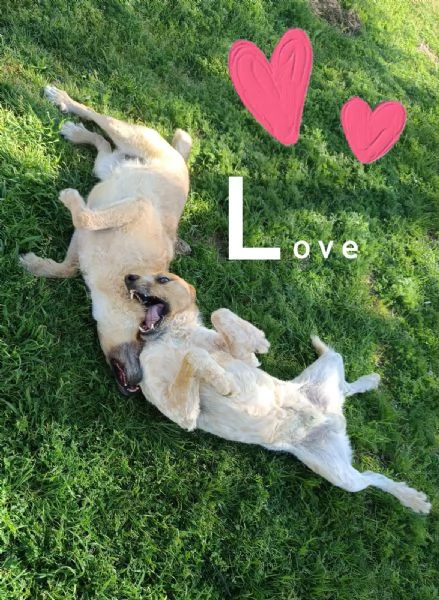 Kiss e Jude due anime gemelle