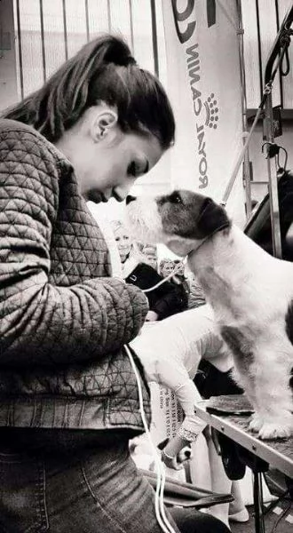 jack russell terrier  cuccioli altamente selezionati | Foto 1