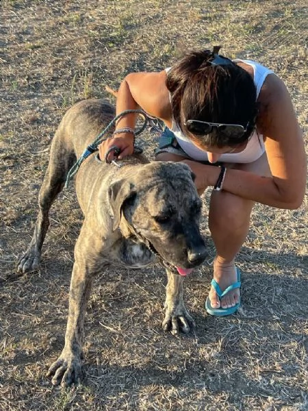 hope : una speranza per una casa | Foto 0