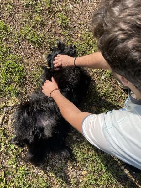 Pippo cerca casa  | Foto 4