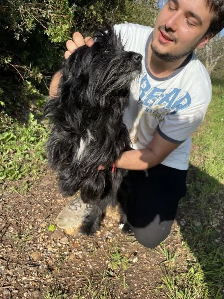 Pippo cerca casa  | Foto 3