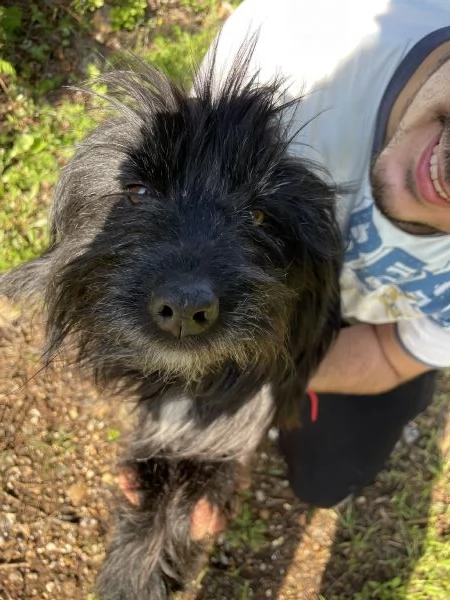 Pippo cerca casa  | Foto 1