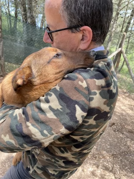 Whisky cucciolo rimasto solo  | Foto 4