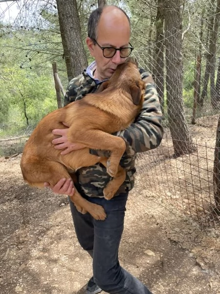 Whisky cucciolo rimasto solo  | Foto 0