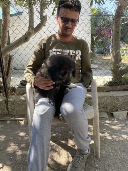 Milo cucciolo cerca casa  | Foto 1
