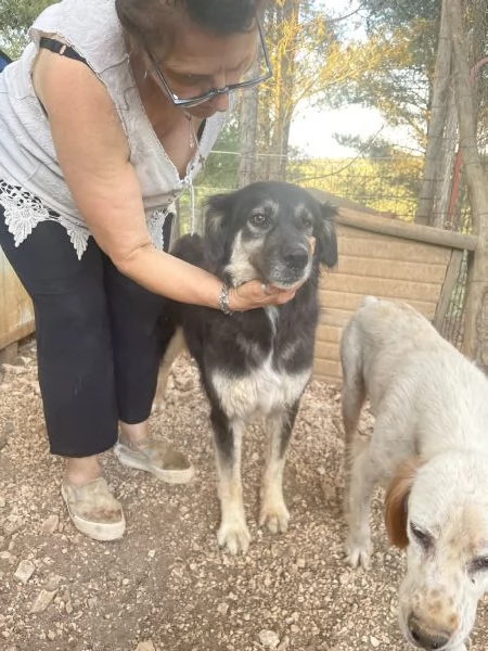 Una vera casa x Stella | Foto 4