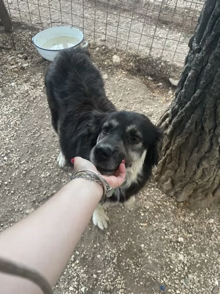 Una vera casa x Stella | Foto 3