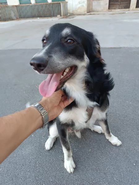Balto cerca casa 