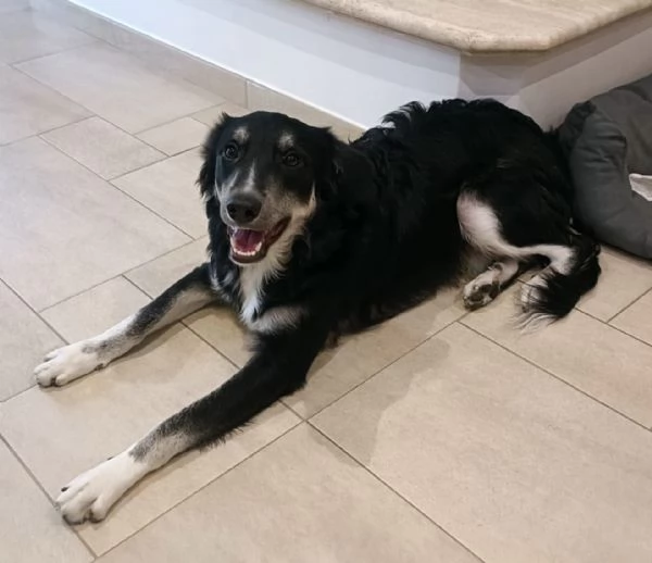 Balto cerca casa 