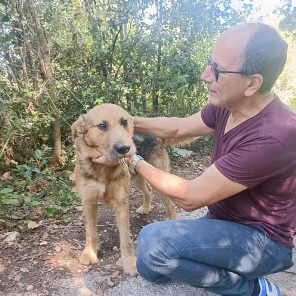 Yuri abbandonato a se stesso  | Foto 1