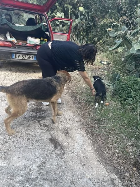 Yuri abbandonato a se stesso  | Foto 0