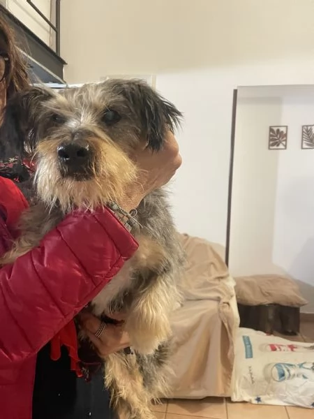 Alice 10 anni cerca  | Foto 6